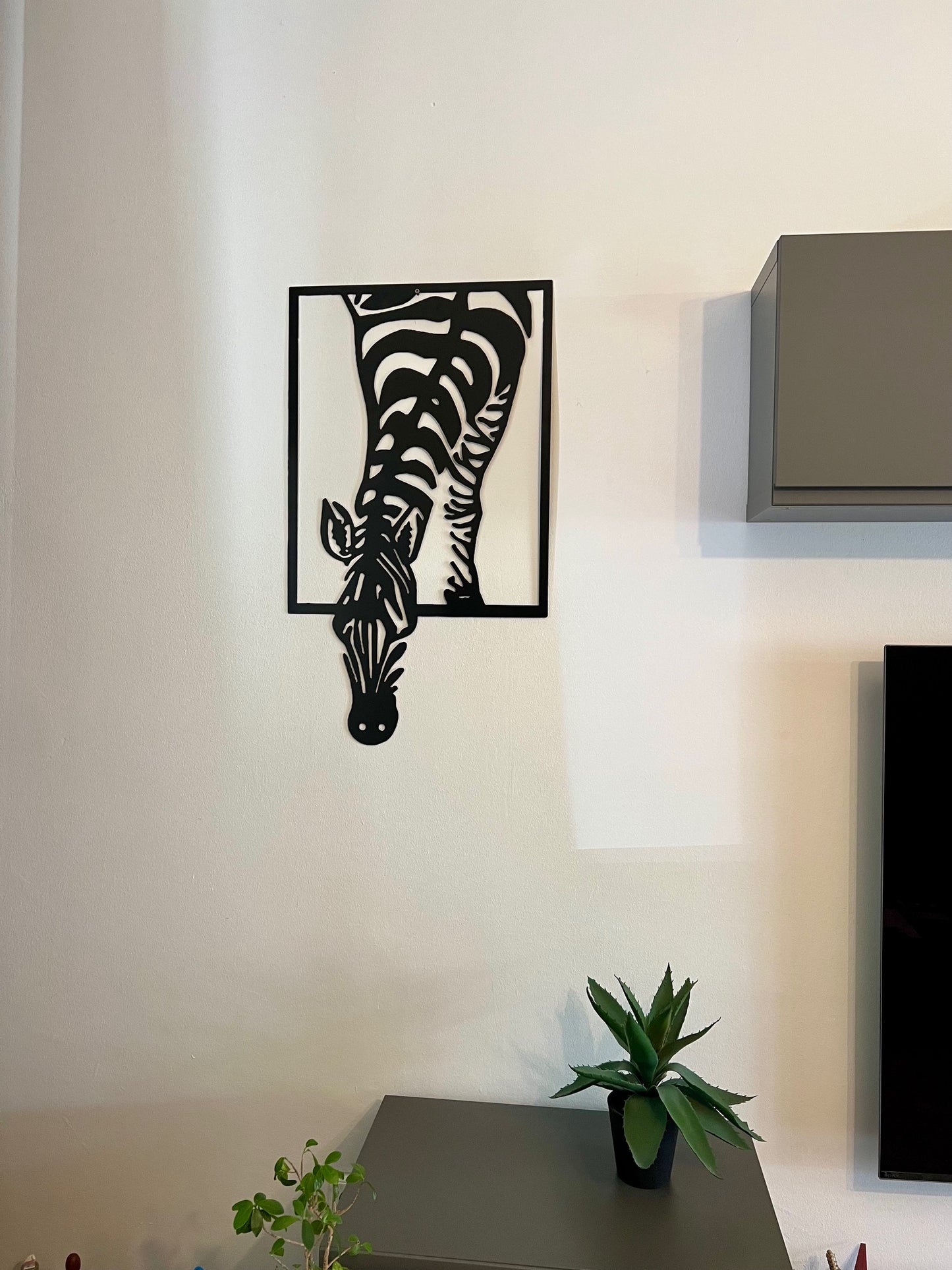 DECOR ZEBRA