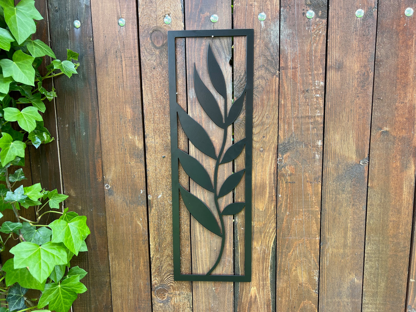 DECOR PLANTĂ