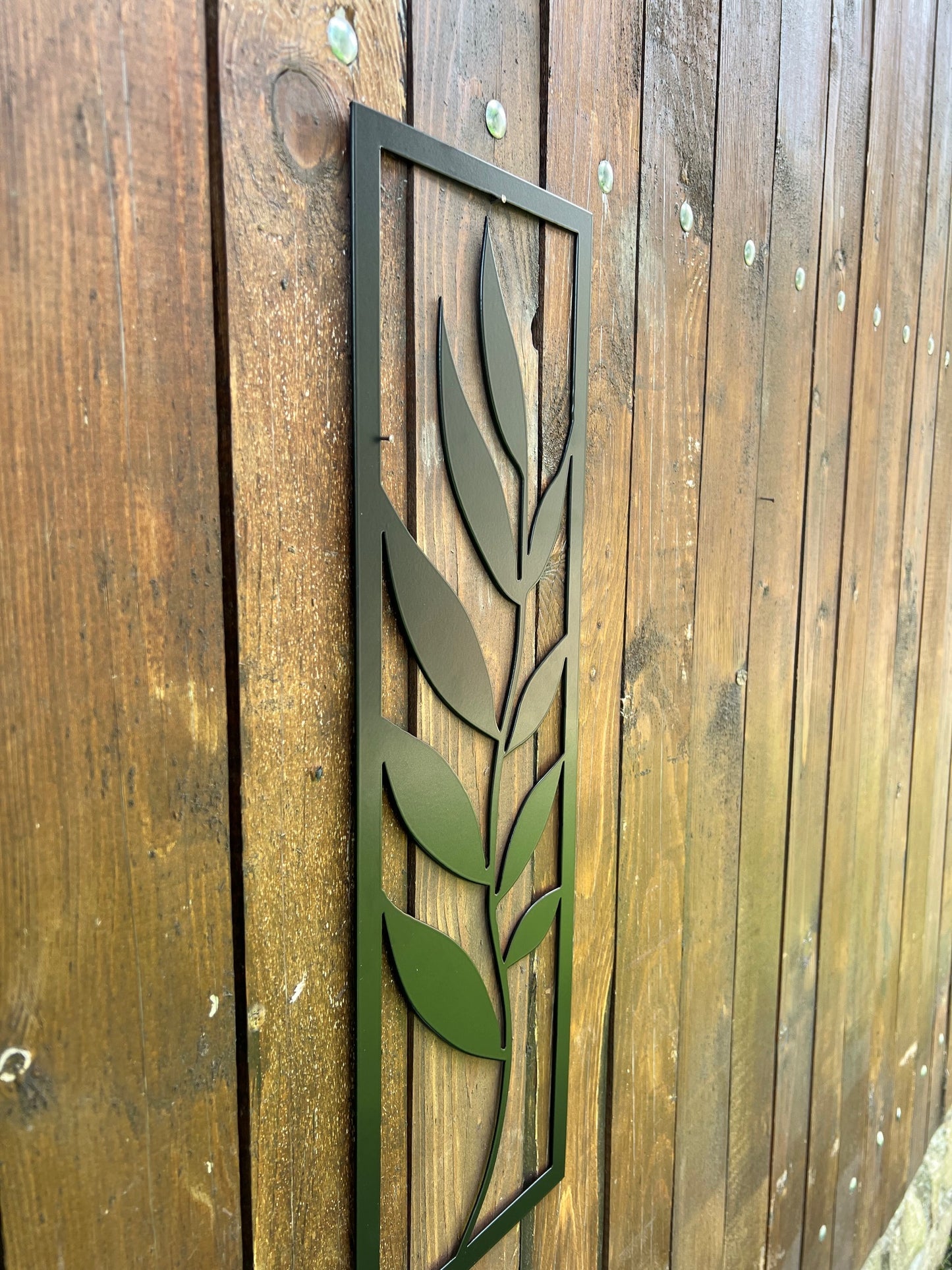 DECOR PLANTĂ