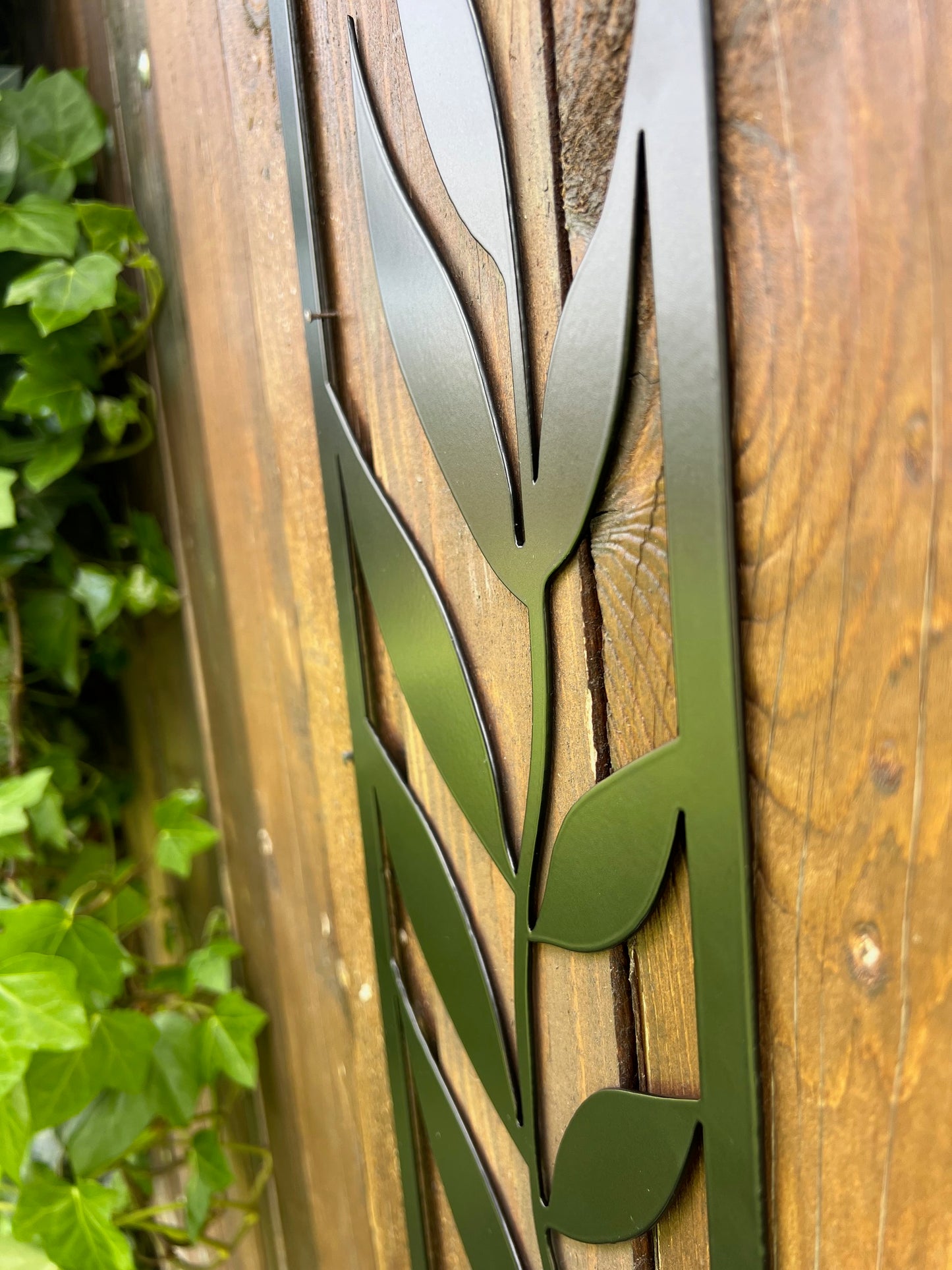 DECOR PLANTĂ