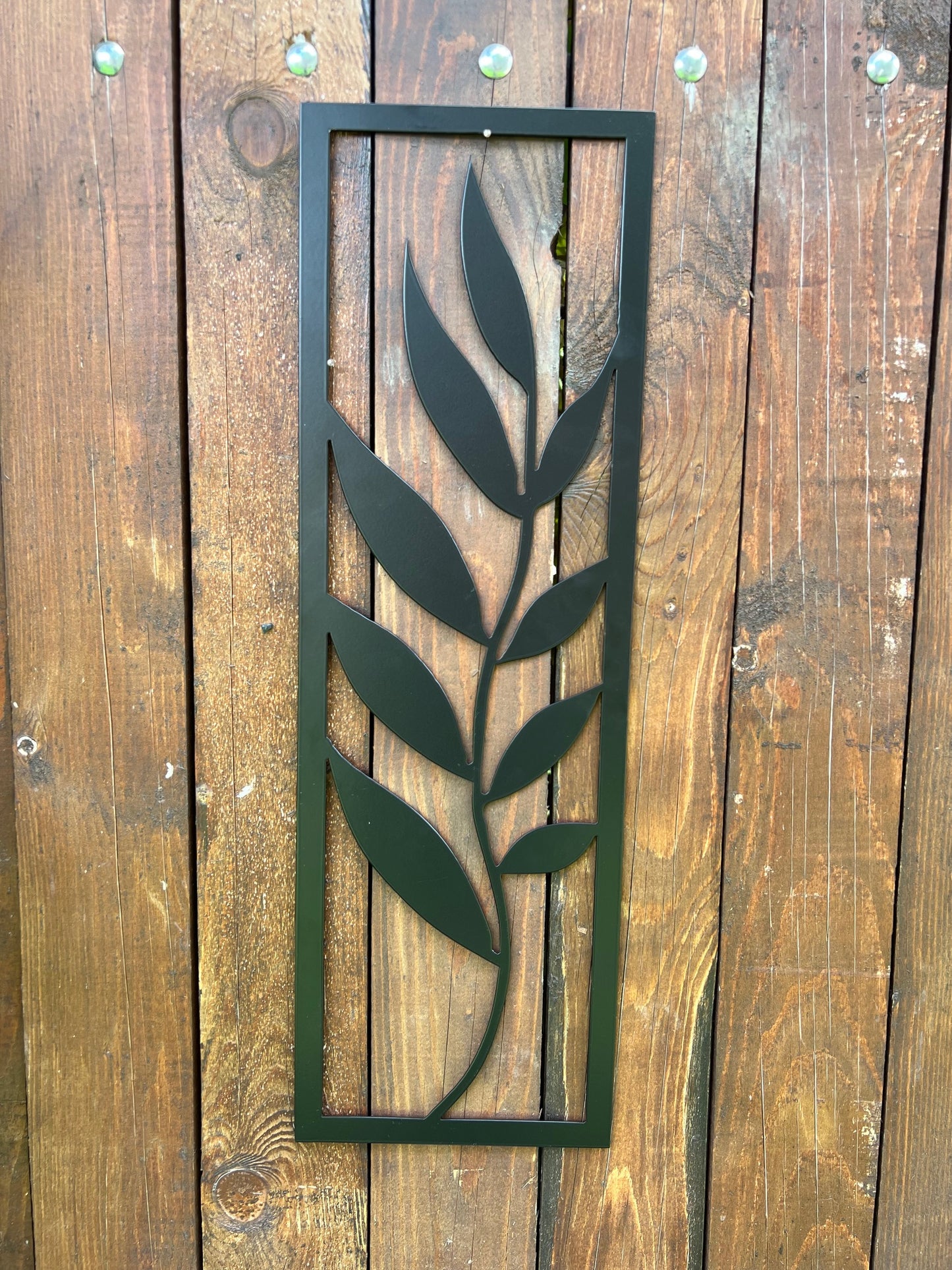 DECOR PLANTĂ